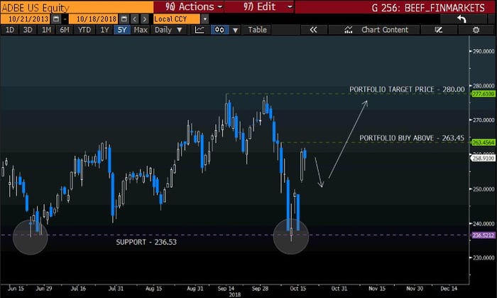 Adobe-short-term