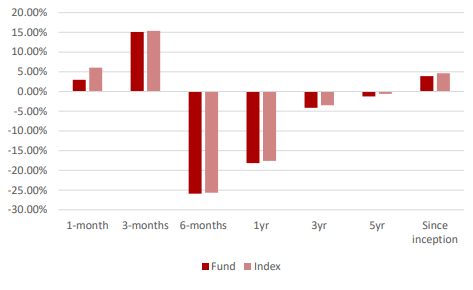 Ashburton Mid Cap Historical Performance 2020