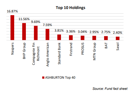 Ashburton Top 40 Top 10 Holdings