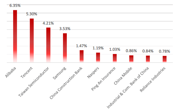 Satrix Emerging MArkets 2020 Aug Top Holdings