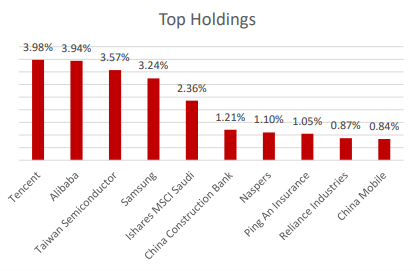 Satrix Emerging MArkets Top Holdings