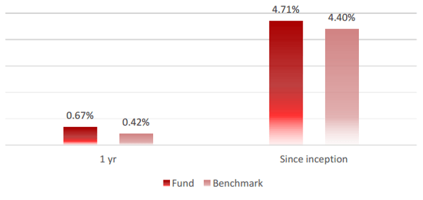 Satrix Emerging Markets 2020 Aug Historical Performamce