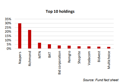 Satrix Indi Top Holdings