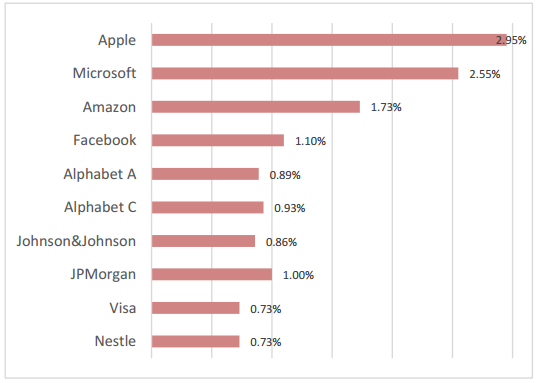 Satrix MSCI World 2020 Aug Top Holdings