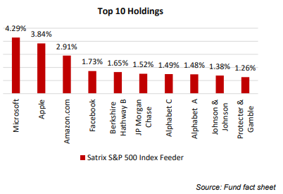 Satrix S&P 500 Top Holdings