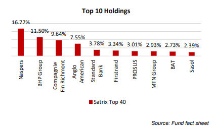 Satrix Top 40 Top 10 Holdings