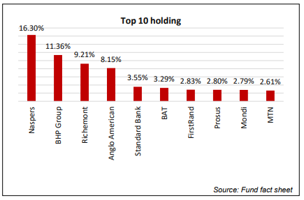 Satrix Top 40 Top Holdings 2020-1