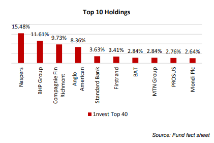 Sygnia Top 40 top 10 holdings